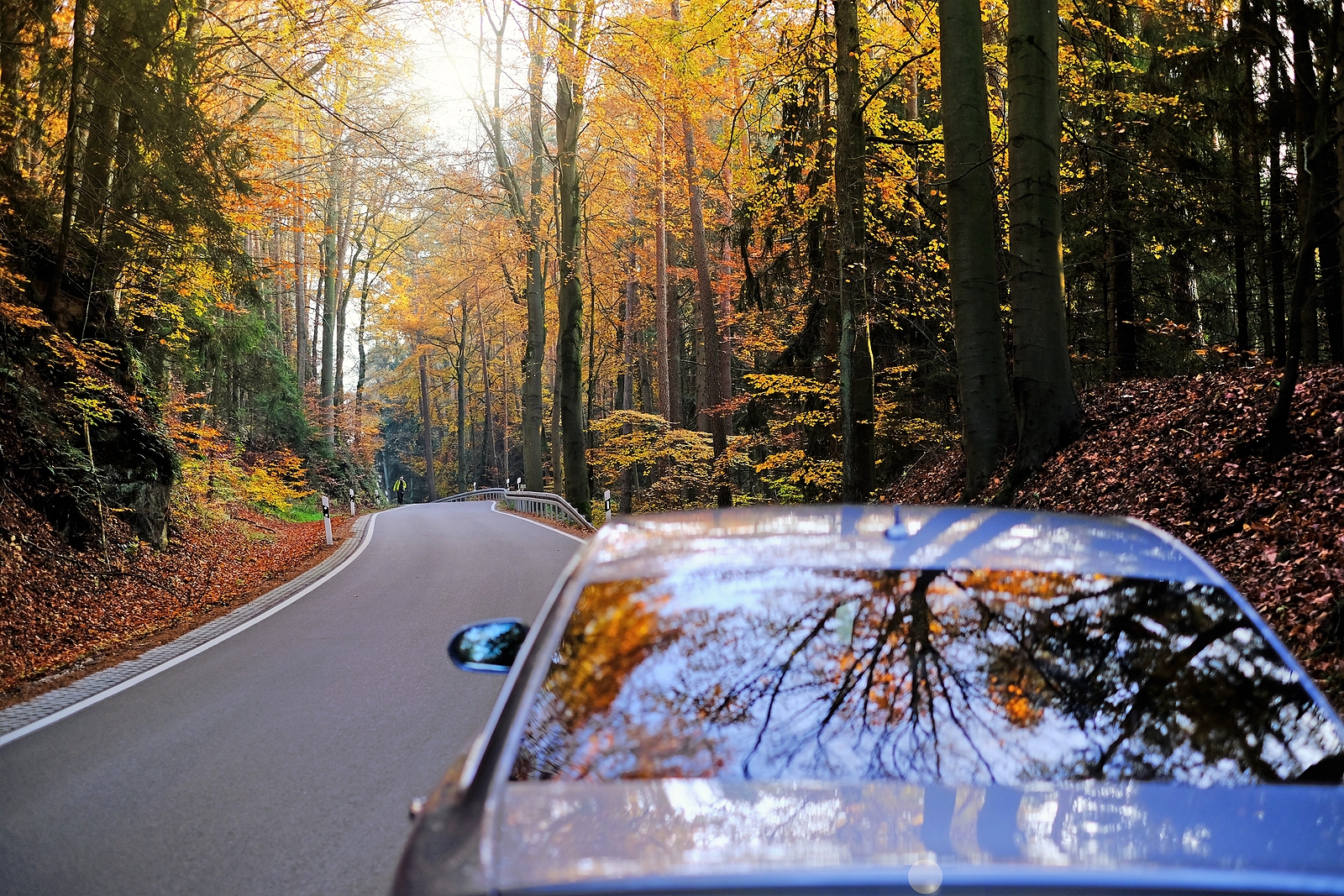 The Best Fall Foliage Drives in 3 CT Counties	